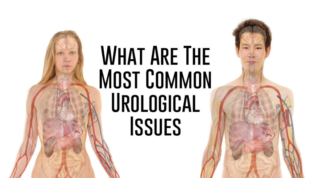 Common Urological Conditions